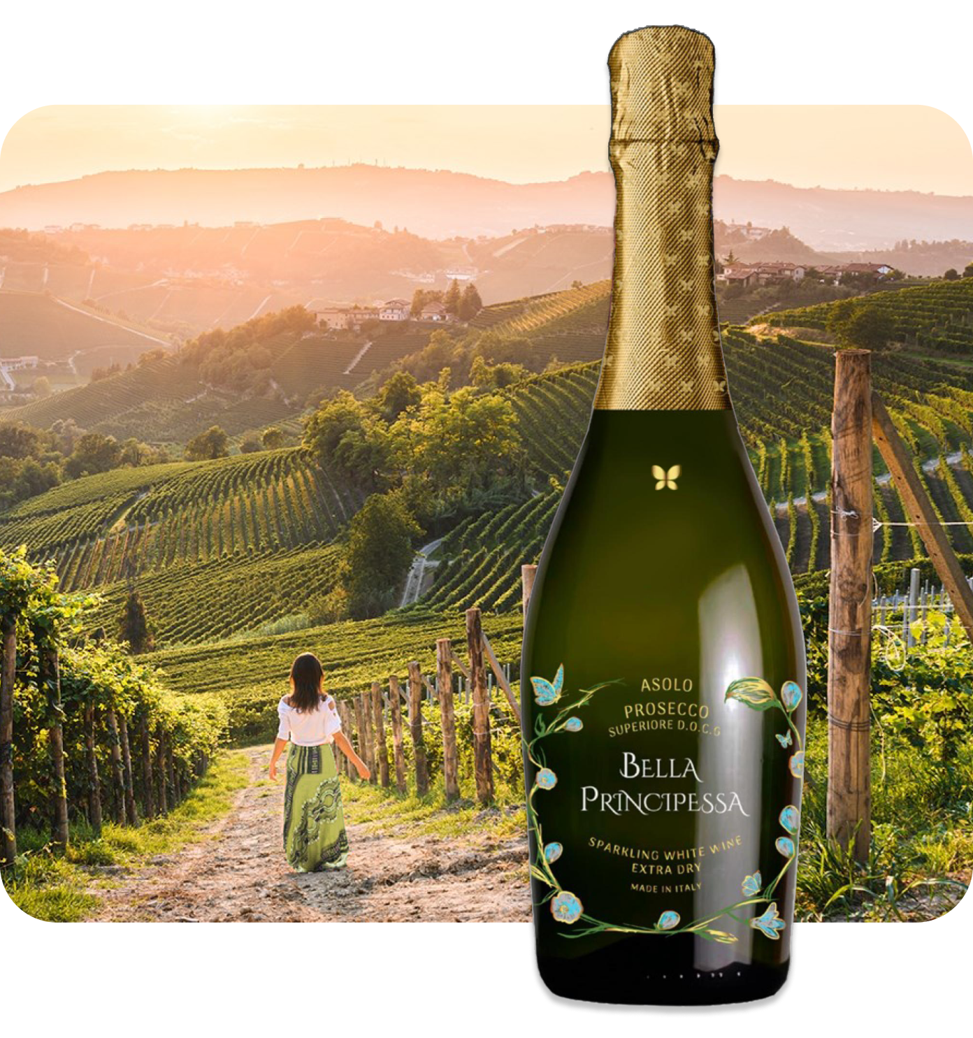 Uve di Prosecco sostenibili in uno splendido vigneto italiano | Prosecco.com