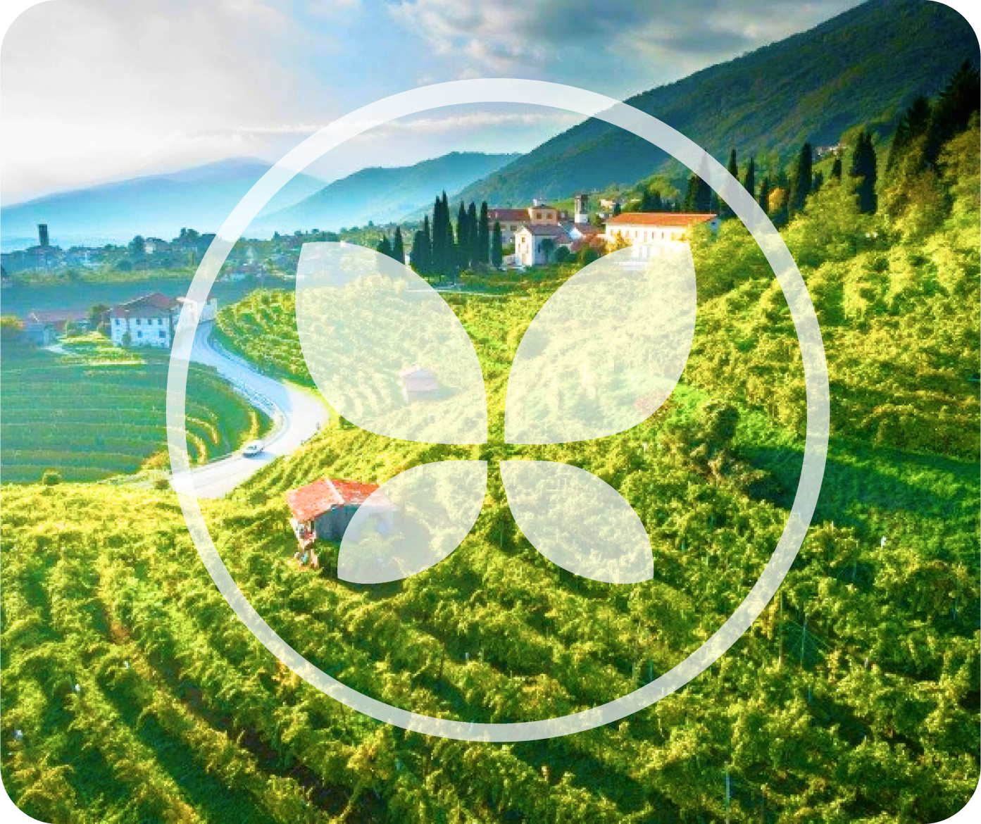 Logo Bella Principessa Prosecco con farfalla al centro.
