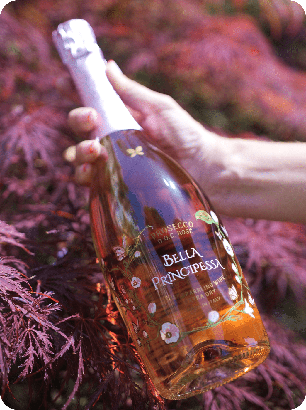 Lusso Prosecco DOC rosa, Bella Principessa