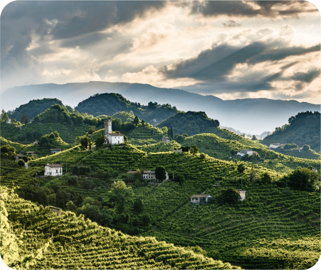 Bella Principessa Prosecco: Luxuriöser Geschmack aus einem Familienunternehmen