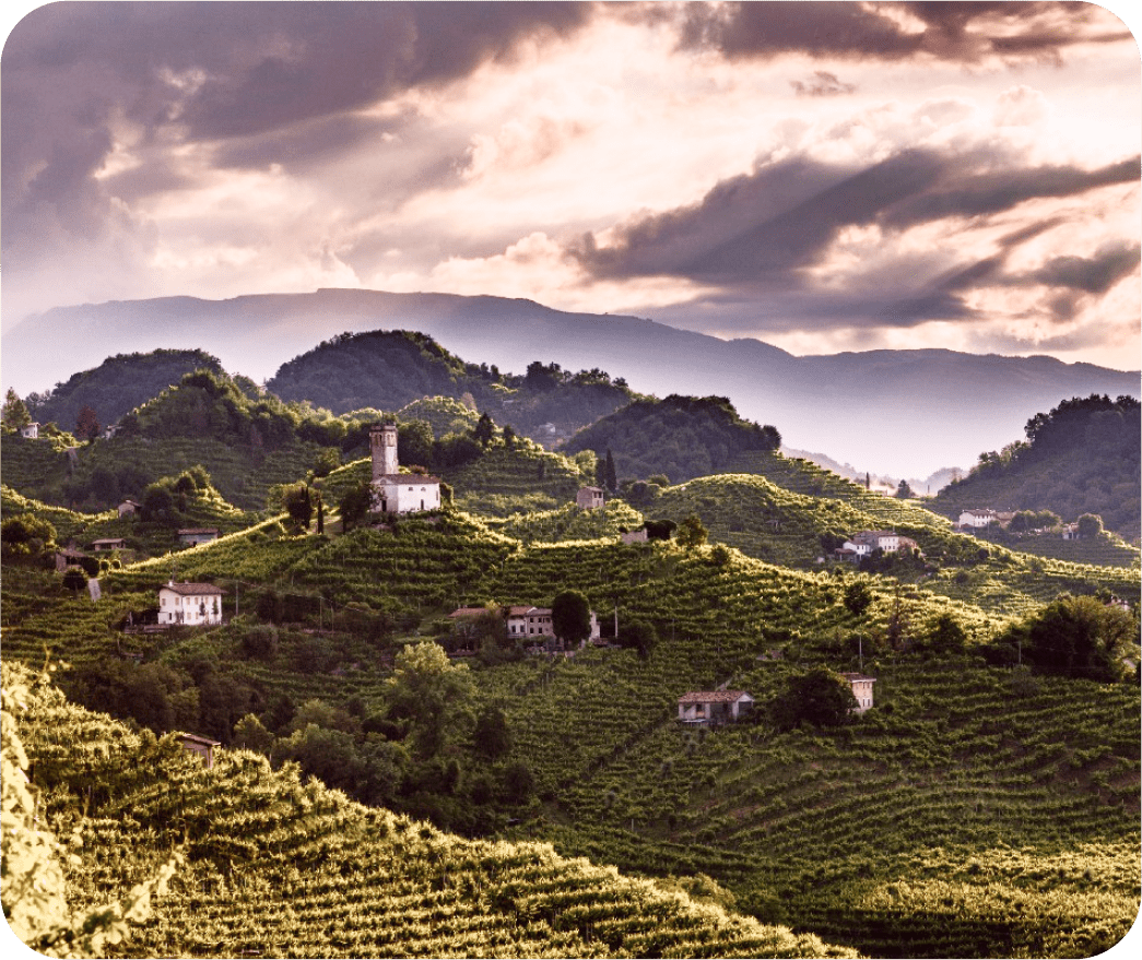 Il Bella Principessa Rosé Prosecco è prodotto in modo sostenibile da un'azienda a conduzione familiare.
