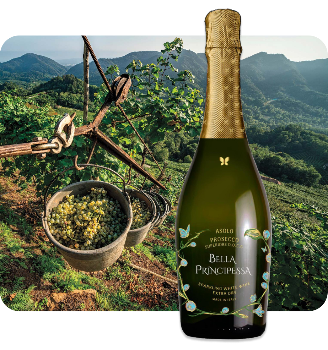 Handselektion der besten Glera-Trauben für unseren Prosecco Superiore D.O.C.G. Produktion.