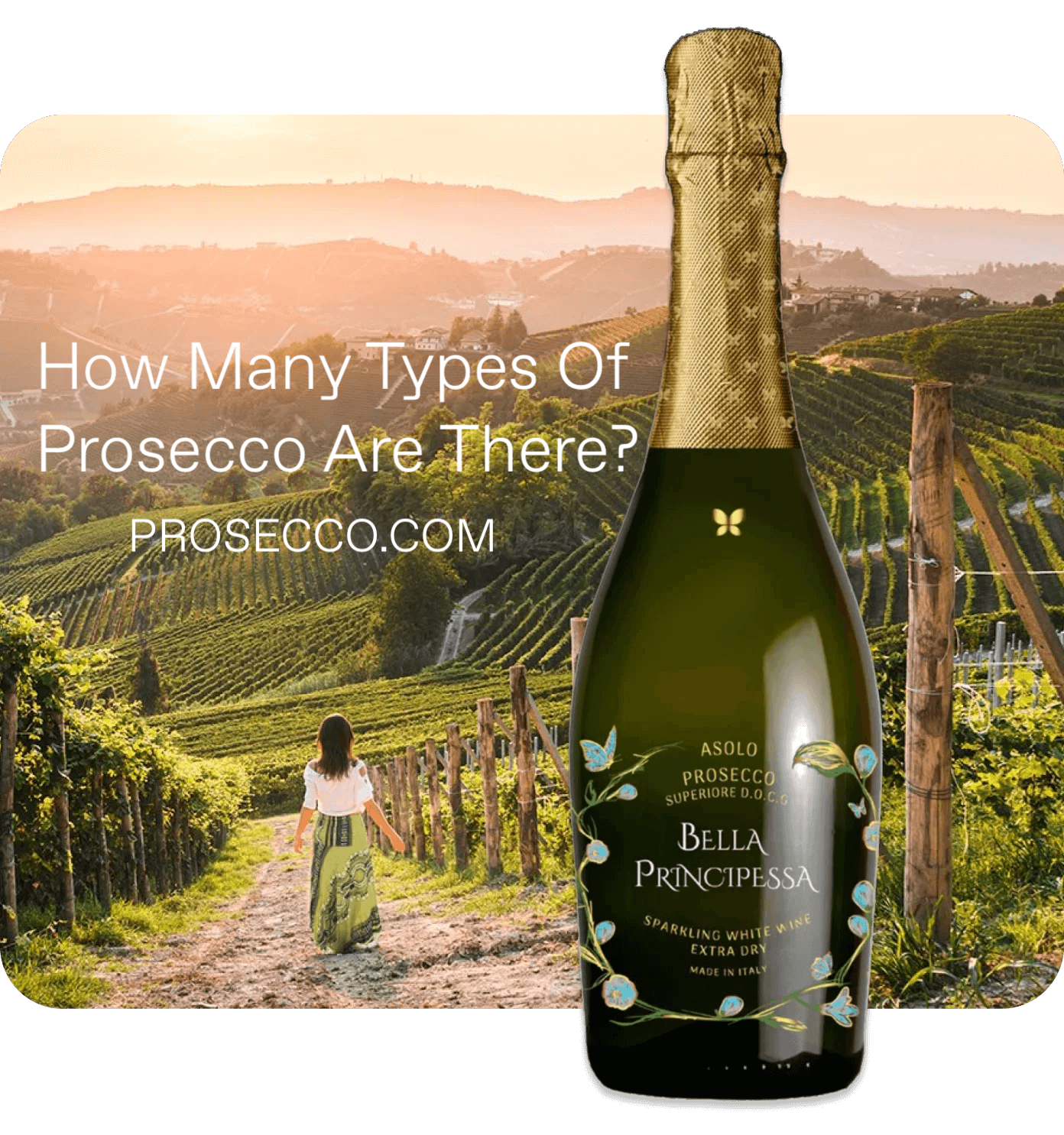 Wie viele Arten von Prosecco gibt es? Finden Sie Ihren perfekten Partner