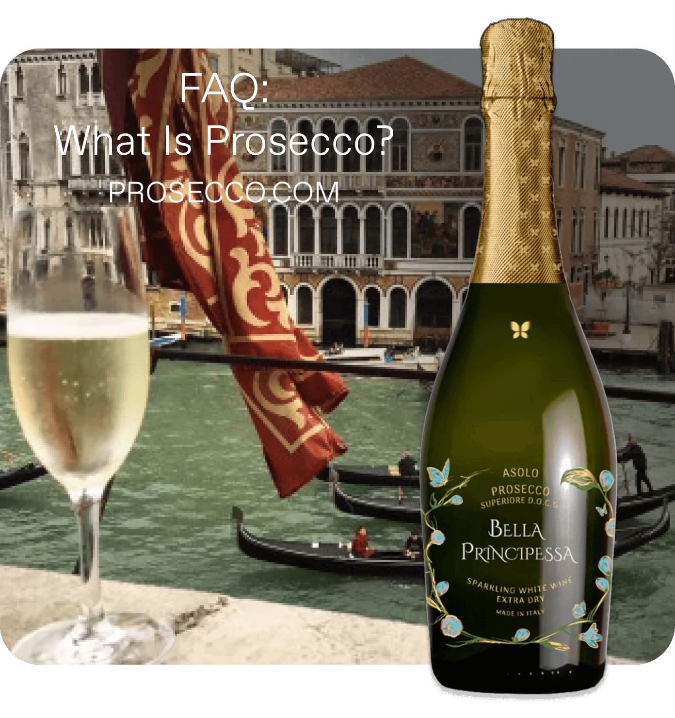 Prosecco, champagne e spumante: la guida definitiva alla scoperta del meglio nel 2024