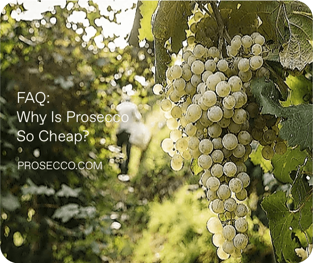Perché il Prosecco è così economico? Lo spumante più venduto del 2024