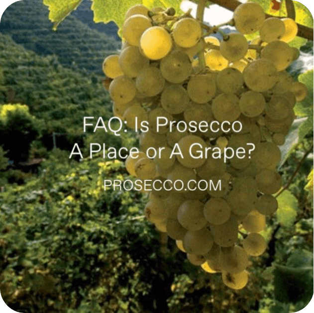 Il Prosecco è un luogo o un’uva? Decodificare il famoso vino italiano