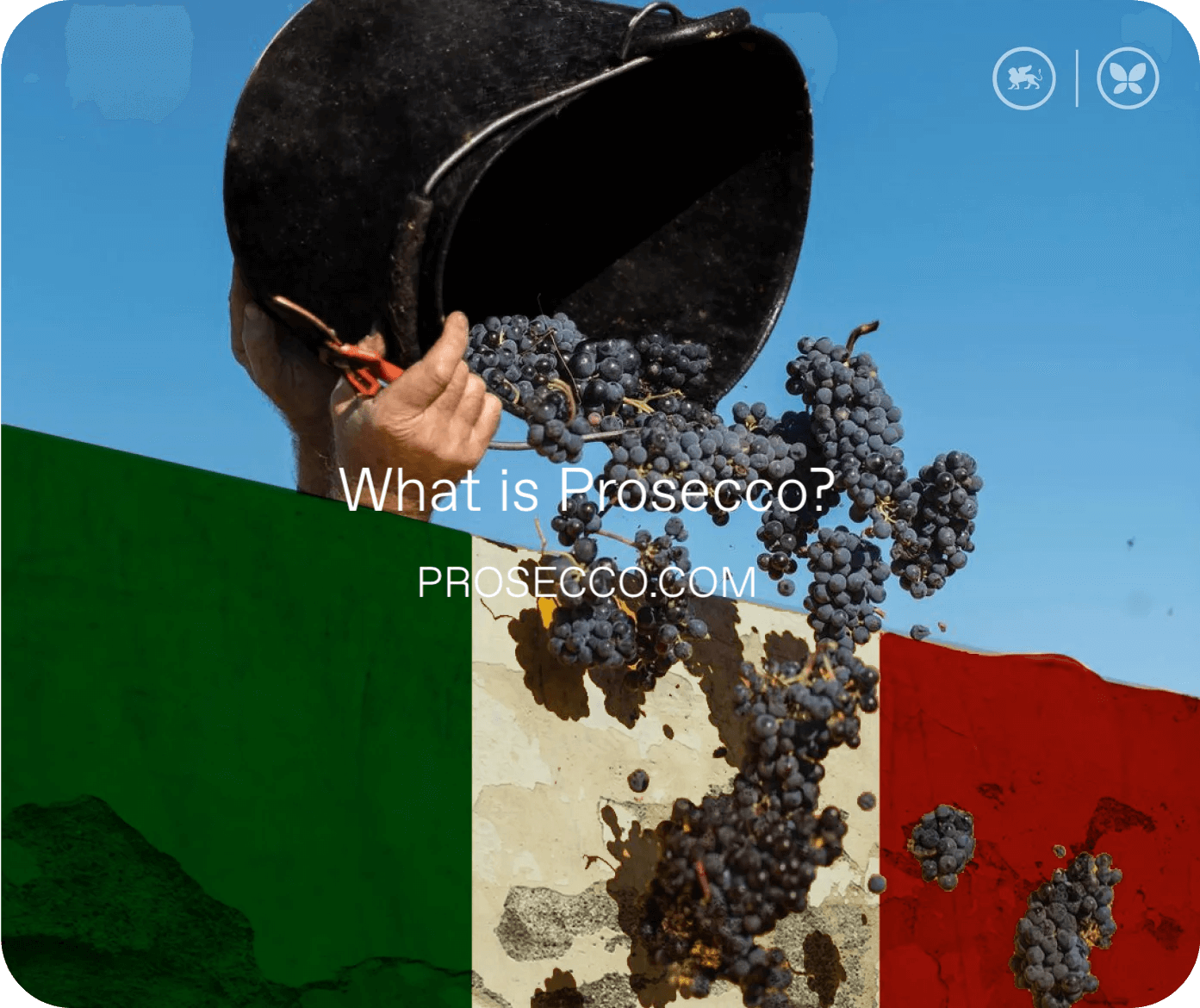 Cos’è il Prosecco? Una guida ai migliori spumanti italiani del 2024